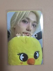 straykids フィリックス スキズ World Tour dominATE : celebrATE 購入特典