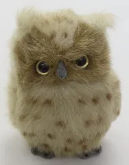 【中古】ぬいぐるみ りゅうきゅうこのはずく ぬいぐるみのサムネイル