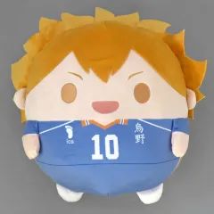 【中古】ぬいぐるみ 日向翔陽 ふわコロりんメガ 「くじメイト ハイキュー!! ぬいくじ」 A-A賞