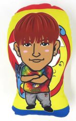 GENERATIONS LIVE TOUR 2019 クッション RYOTA - メルカリ