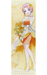 [중고] 태피스트리 나카노 카즈카 슬림 태피스트리 오렌지 데이 ver. [오등분의 신부∽ ~오렌지 데이를 당신과 함께 ~ TSUTAYA POP UP SHOP]