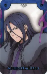 【中古】キャラカード 杉下京太郎 「WIND BREAKER×カラオケの鉄人 Vol.2 ビジュアルカード Abox」