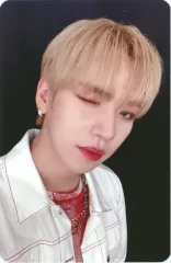 【中古】コレクションカード(男性) n.SSign/ハンジュン(HANJUN)/CD「Tiger」Whoop Japan Store CD発売記念オンラインリリースイベント特典フォトカード 第1弾