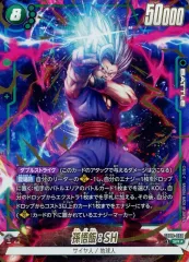 【中古】ドラゴンボールスーパーカードゲーム FB09-060[SR☆]：孫悟飯：SH