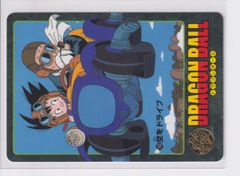 カードダス ドラゴンボール ビジュアルアドベンチャー カード 10 空を