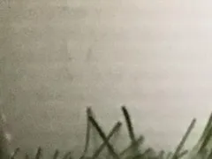 【中古】 タイトリスト SCOTTY CAMERON STUDIO SELECT NEWPORT 2.6 34インチ(15g) パター PT スチール (フレックスその他) メンズ 男性用 右利き 右用 Cランク ゴルフクラブ