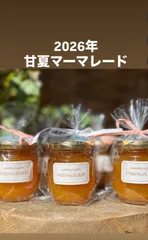 【手渡し専用】無添加・手作り 甘夏マーマレード（単品）のサムネイル