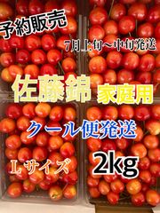 予約】令和8年北海道産佐藤錦L約2kg＊クール便 - メルカリ