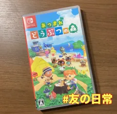 あつまれ どうぶつの森 Switch 76