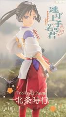 Flue Trio-Try-iT Figure 도망친 젊음군 호조 시행