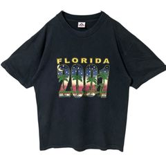 ☆美品 ISLANDER アイスランダー 黒 半袖 Tシャツ L 90s - メルカリ