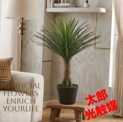 光触媒 人工観葉植物 ウォールグリーン フェイクグリーン ユッカ6351 