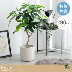 送料無料 光触媒人工観葉植物ユーカリ高さ85cm フェイクグリーン（1275