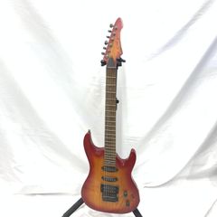 ☆美品 チビ工房オリジナル改造 唯一無二のChattingBird HSH - メルカリ