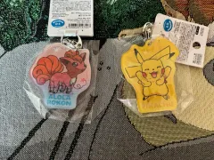 (2022 ポケモンセンター 正規品) ポケットモンスター アクリル キーホルダー セット