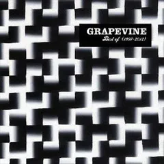 2026年最新】grapevine lpの人気アイテム - メルカリ