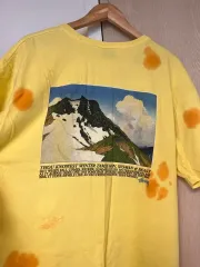 STUSSY グラフィック 半袖 ラージ