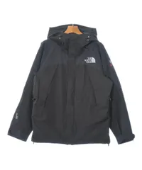 THE NORTH FACE マウンテンパーカー メンズ 【古着】【中古】【送料無料】
