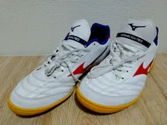 25.0 MIZUNO(ミズノ) ユニセックス大人 モナルシーダ NEO SALA SELECT IN 屋内 幅広 インドアフットサルシューズ