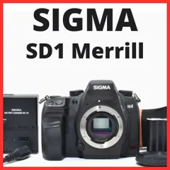 2026年最新】SD1 Merrillの人気アイテム - メルカリ