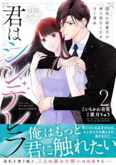 君はシンデレラ～孤高な御曹司が絶え間なく愛を注ぐ理由～【財閥御曹司シリーズ】　２ (ベリーズコミックス)／いちかわ有花