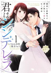 君はシンデレラ～孤高な御曹司が絶え間なく愛を注ぐ理由～【財閥御曹司シリーズ】　１ (ベリーズコミックス)