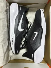 255 NIKE ペガサス41