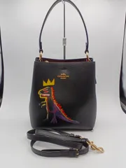 COACH 型番：C6073 ショルダーバッグ