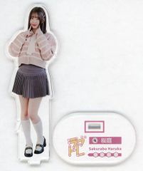 [중고] 아크릴 스탠드 아크릴 패널 벚꽃 정원 하루카 아크릴 스탠드 [CUTIE STREET [러브 트레] MV 래플 복권] C 상