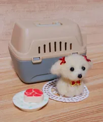 羊毛フェルト　ちっちゃな々々マルチーズ大きなお肉食べたいなぁ