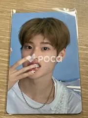 RIIZE ソヒ 2026 SEASON'S GREETINGS RANDOM TRADING CARD SET B ver.