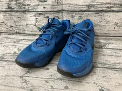 NIKE ナイキ スニーカー AIR MAX ALPHA TRAINER 5 DM0829-403 26cm ブルー