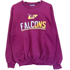 Hanes ヘインズ 90s スウェット ボルドー M FALCONS チームロゴ プリント トレーナー ヴィンテージ 古着 90年代 アルティメットコットン 裏起毛 えんじ バーガンディ アメカジ ストリート / MS395