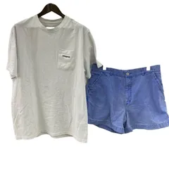 186005 patagonia パタゴニア 半袖TシャツXL　ショートパンツ36 メンズ 2点まとめ売り