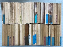 新書 39冊 まとめ売り 中公新書 岩波新書 - メルカリ