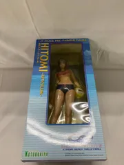 DEAD OR ALIVE ヒトミ - レティクル - （ 1/6スケールPVC製 塗装済 完成品 ）