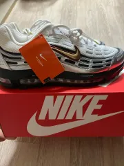 ナイキ エアマックス TL 2 5 FANTOM メタリック シルバー 290