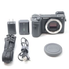ショット数6000 SONY α7C 単焦点レンズ1本セット 付属品完備 箱あり