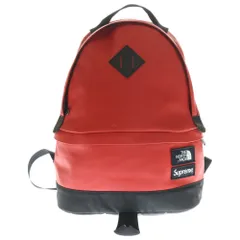 SUPREME (シュプリーム) 17AW ×THE NORTH FACE Leather Day Pack ザノースフェイス レザーデイパック リュックサック レッド NF0A3G73