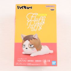 켄마네코(고발톱 연마)(코즈메켄마) 하이큐!!