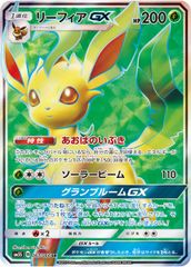 H*I様 【PSA10】 リーフィアGX 067/066 SR ポケモンカード リーフィア gx sr ポケモンカード 067/066 sar sa psa - メルカリ