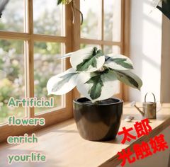 光触媒 人工観葉植物 ウォールグリーン フェイクグリーン トランペット 