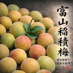 富山県産　健康稲積青梅　10kg＋秘伝レシピ 富山県産 健康稲積青梅 10kg＋秘伝レシピ - メルカリ