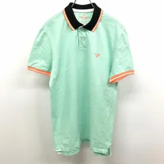 【中古】[印象AB] American Eagle - M メンズ ロング丈 スリムフィット ポロシャツ カットソー 鹿の子 鳥 ロゴ 刺繍 半袖 綿100% グリーン×オレンジ系 緑