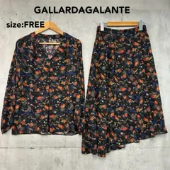 GALLARDAGALANTE ガリャルダガランテ セットアップ 上下セット ブラウス ロングスカート ブラック 花柄 2点セット 100%ポリエステル 総柄 Vネック 長袖 Aライン フレアスカート ウエストゴム ギャザー sizeF ★ ■◇