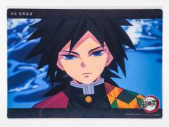17.冨岡義勇(柱稽古編 第二十話c055) 「WEBSHOPくじ 鬼滅の刃 竈門炭