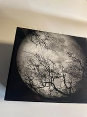 廃盤 CD 大野松雄 そこに宇宙の果てを見た ボーナス8cmCD付き - メルカリ