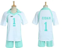 新品 [SCLYX] ハイキューコスプレ衣装 青葉城西 ユニフォーム 及川徹 バレーボールジャージユニフォーム 及川徹コスプレ 及川徹衣装 学園祭文化祭イベント仮装＃20193 (番号1 L)