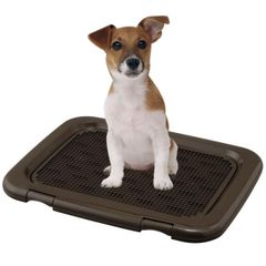 acry-ya アクリ屋ドットコム犬トイレホワイトレギュラーサイズ - メルカリ