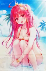 【中古】タペストリー [単品] 彩園寺更紗 B2タペストリー 「ライトノベル ライアー・ライアー 第10巻 嘘つき転校生は頼れる先輩の危機に駆けつけます。 メロンブックス限定版」 同梱特典のサムネイル